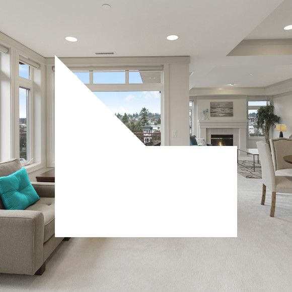 Léman Blanc immobilier
